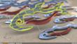 McNeel Announces Neon 1.0 Interactive 3D Viewport Plug-In For Rhino 5